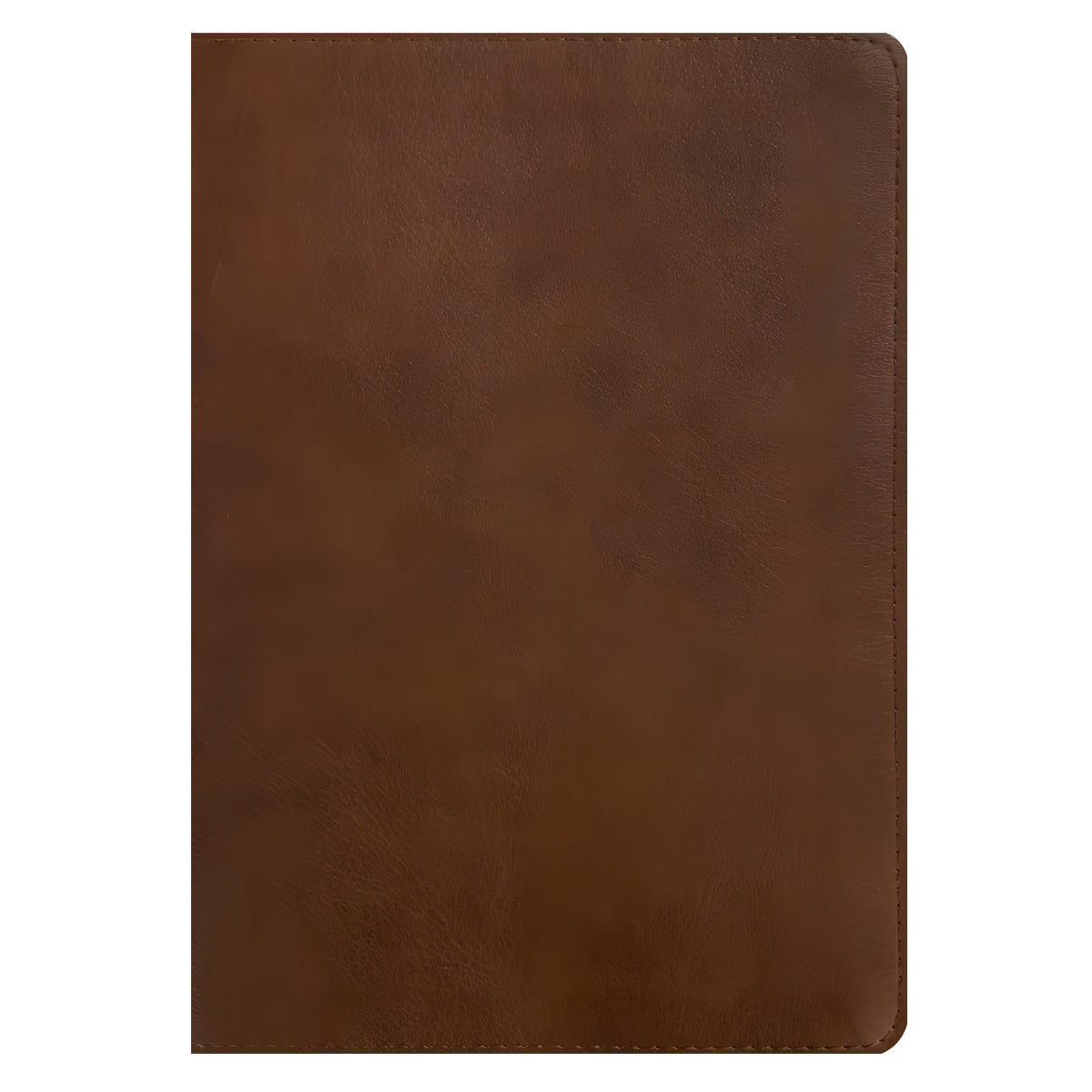 NLT Rustic Brown Imitation Leather Filament Personal Size Giant Print Bible