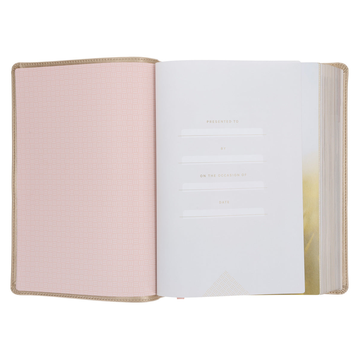 NLT Soft Gold Imitation Leather Filament Enabled Every Woman’s Bible