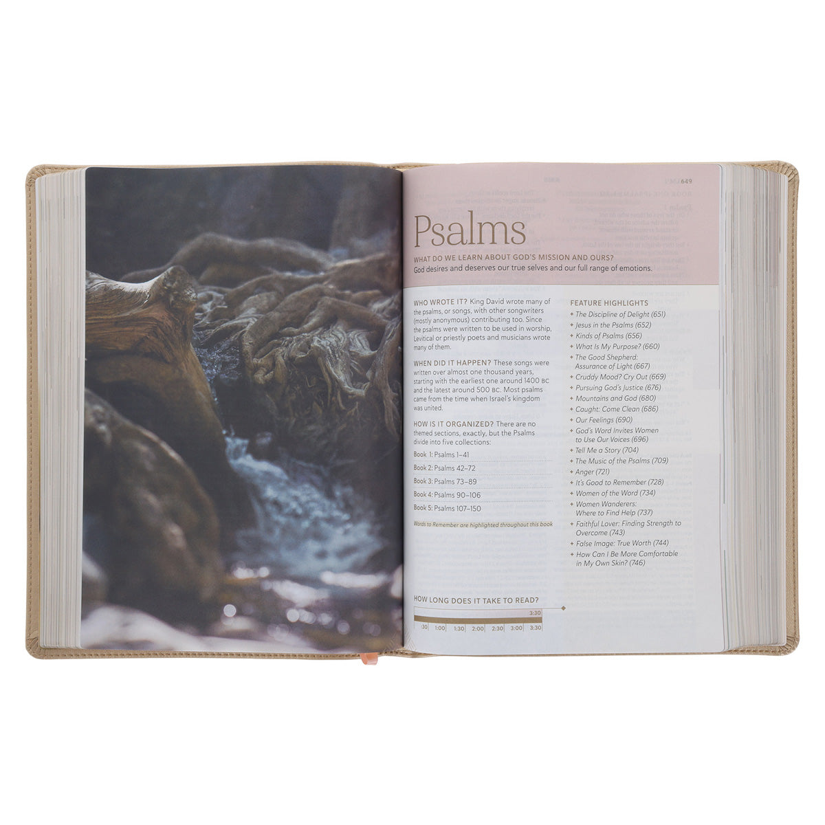 NLT Soft Gold Imitation Leather Filament Enabled Every Woman’s Bible