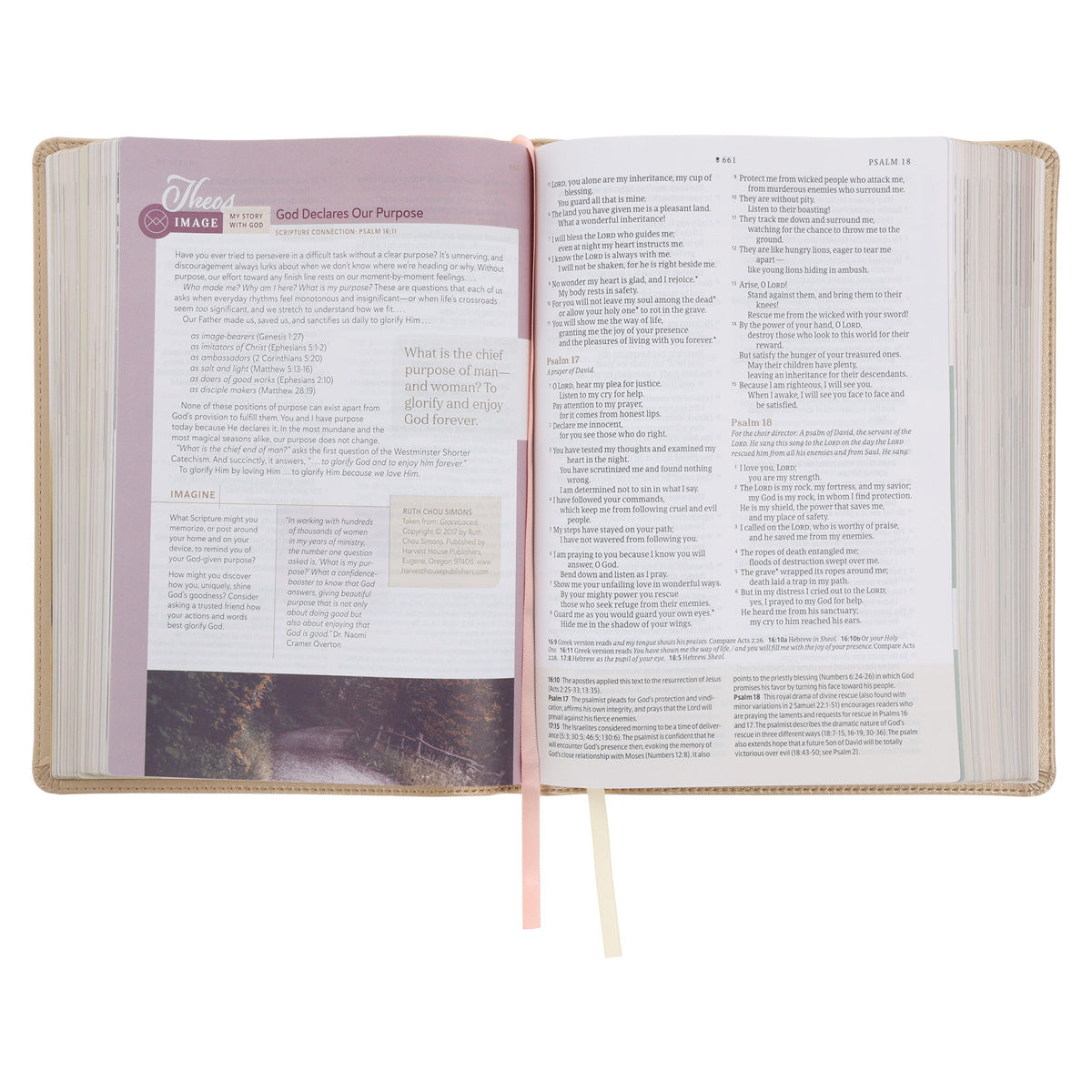 NLT Soft Gold Imitation Leather Filament Enabled Every Woman’s Bible