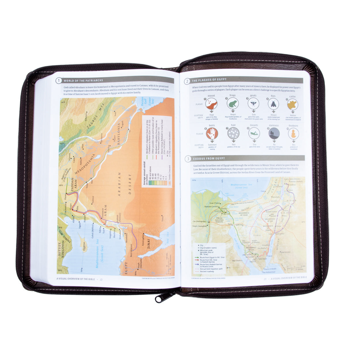 NLT Filament Thinline Reference Bible, Rustic Brown With Zip (Imitation Leather)