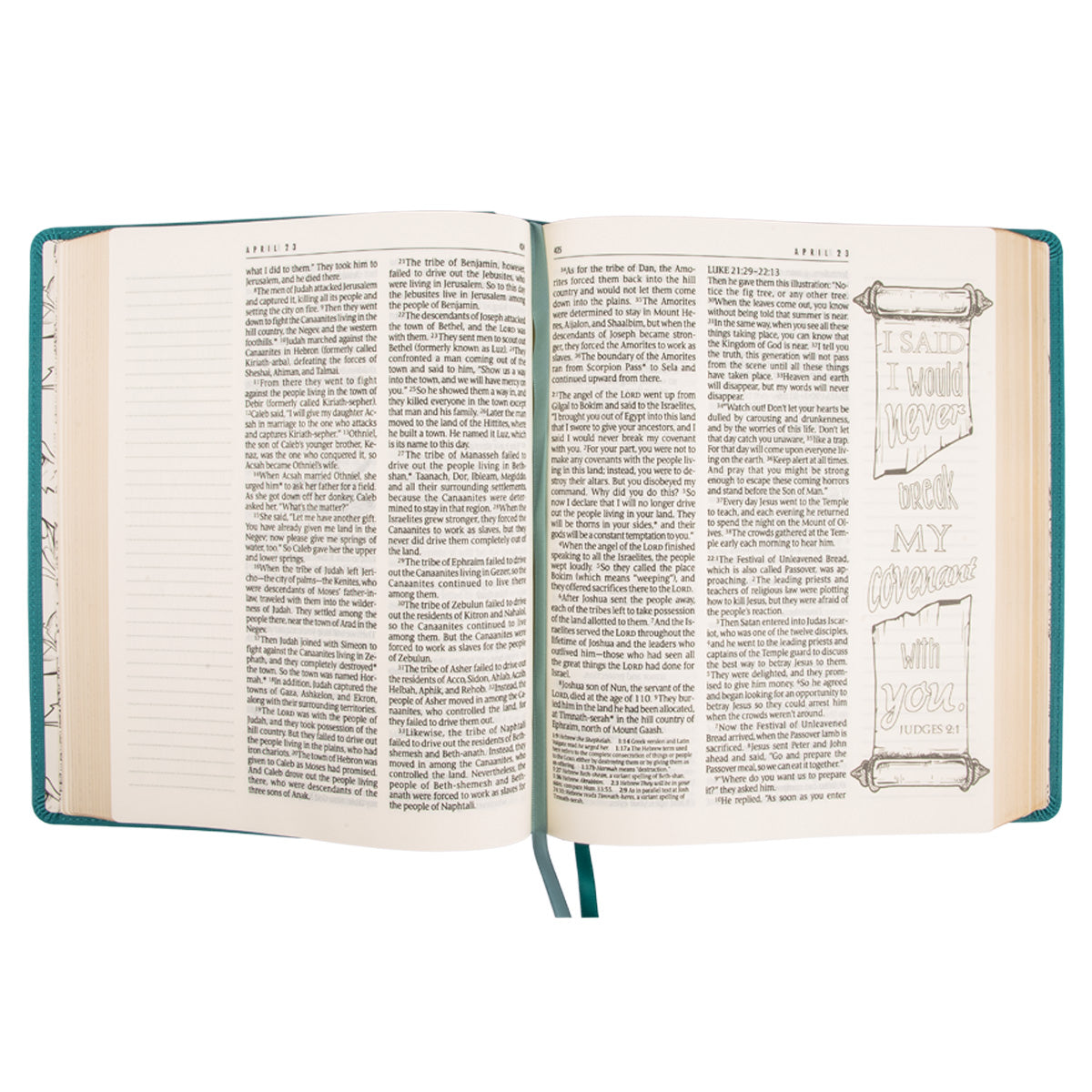 NLT Teal Faux Leather Flexcover One Year Bible Expressions