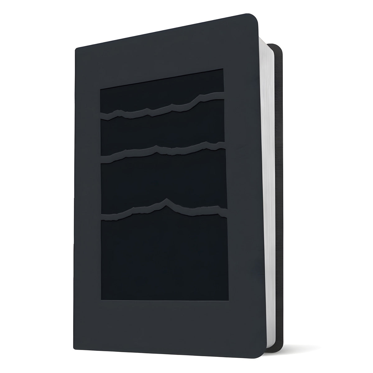 NLT Black Mountainscape Imitation Leather Premium Value Filament Compact Bible