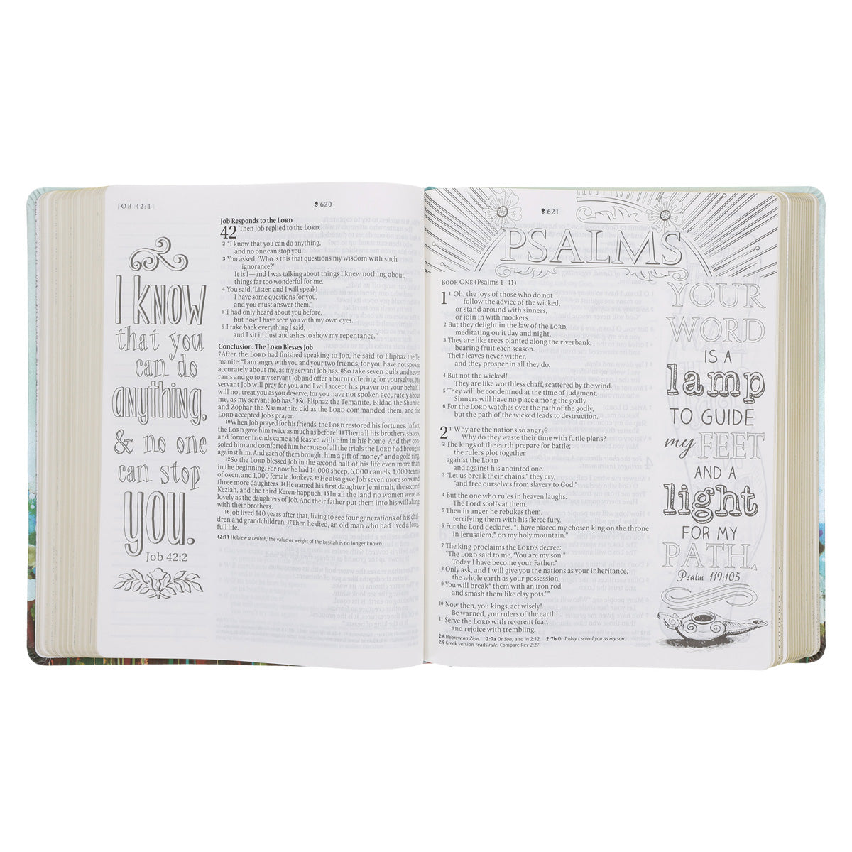 NLT Floral Fields Faux Leather Inspire Large Print Filament-Enabled Bible