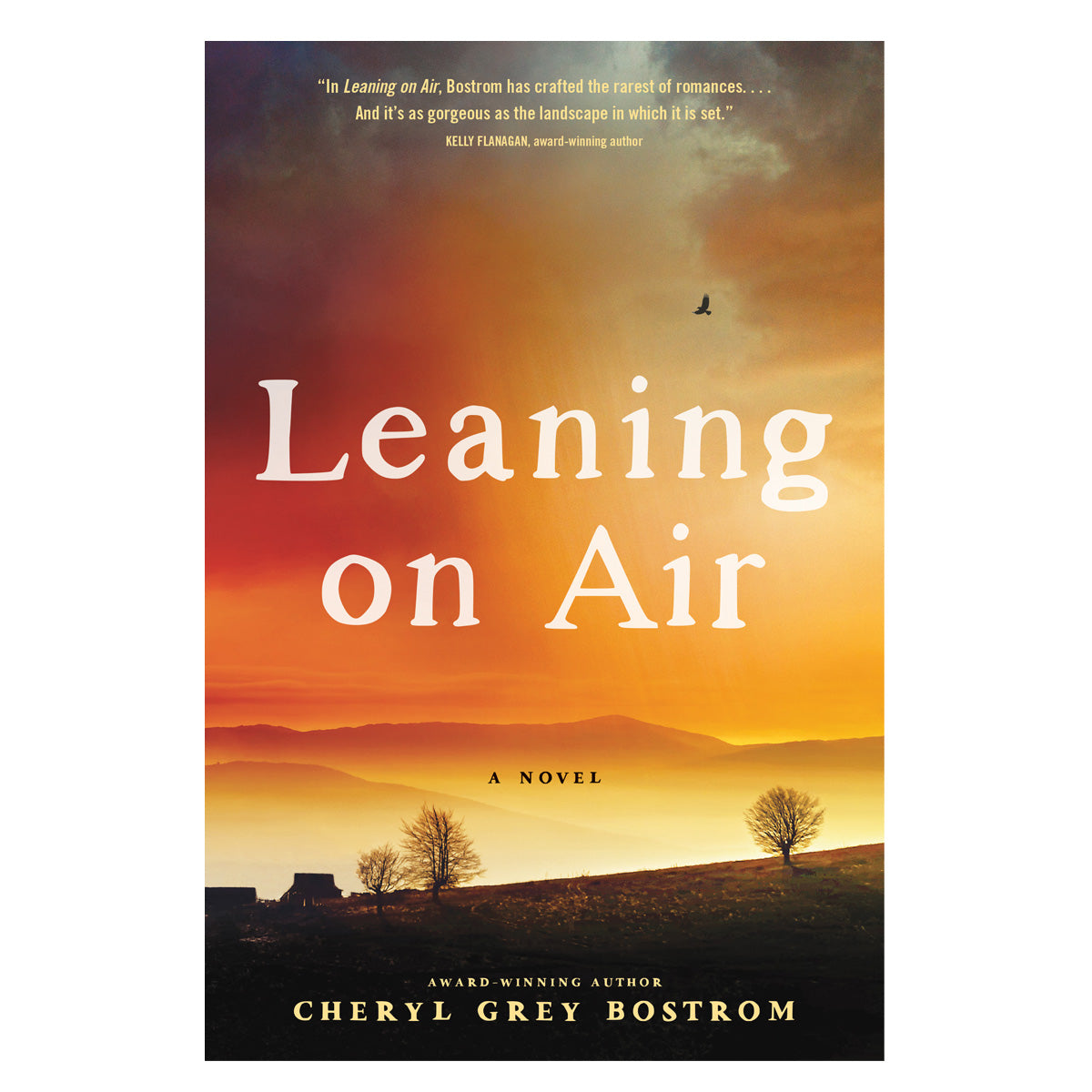 Leaning on Air: A Novel (Paperback)