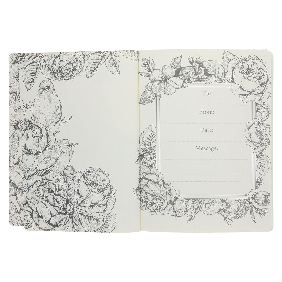 NLT Cream Floral Paperback Inspire Filament-Enabled Bible