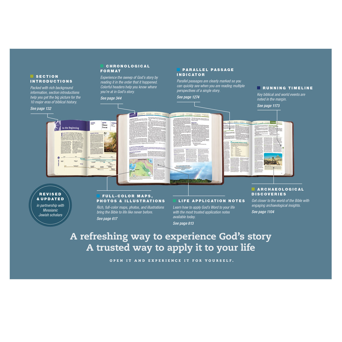 KJV Hardcover Chronological Life Application Study Bible Second Edition