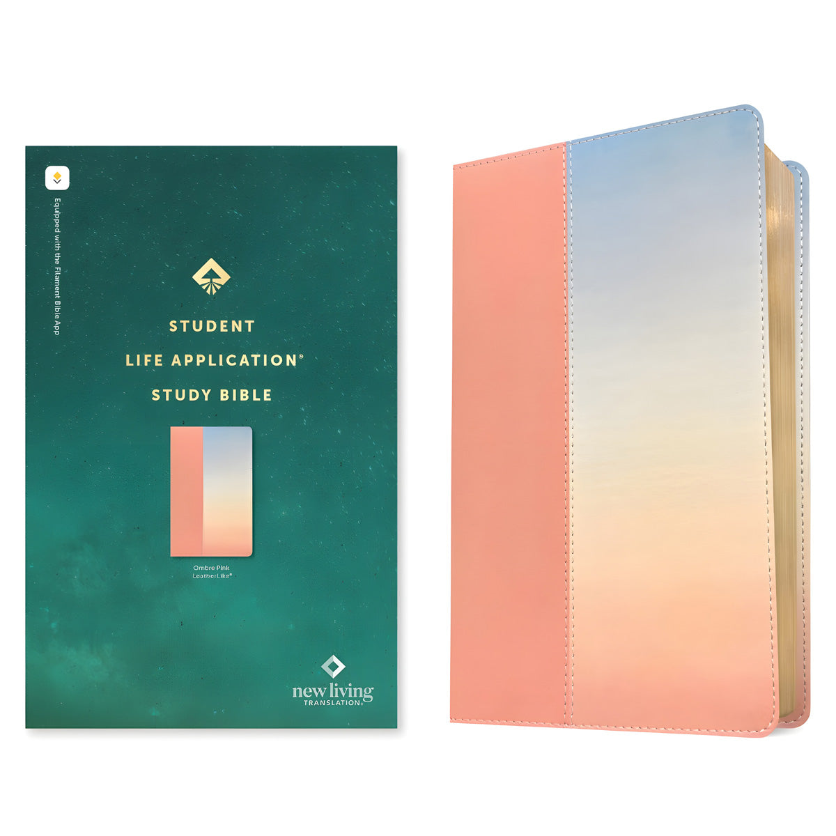 NLT Ombre Imitation Leather Filament Student Life Application Bible Red Letter