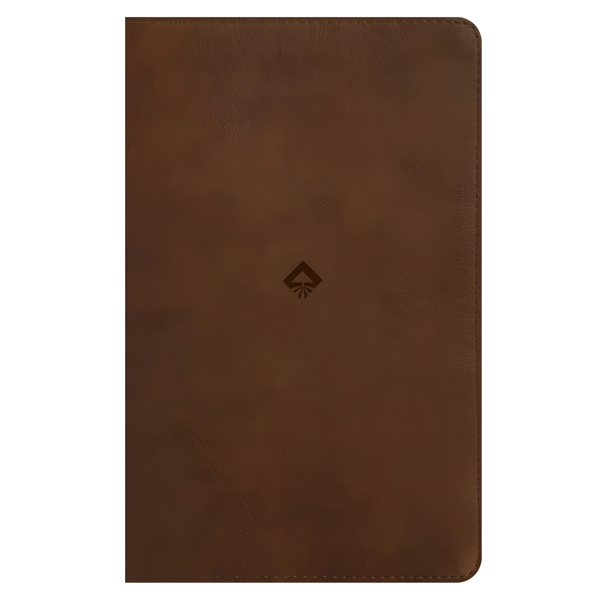 NLT Rustic Brown Imitation Leather Filament Student Life Application Bible Red Letter
