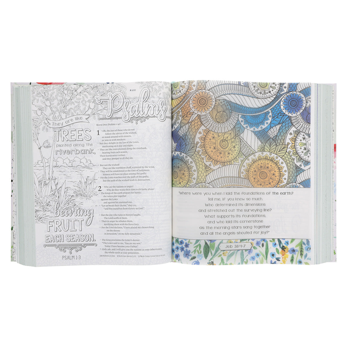 NLT Wildflower Meadow Hardcover Inspire Faith Filament-Enabled Bible Large Print