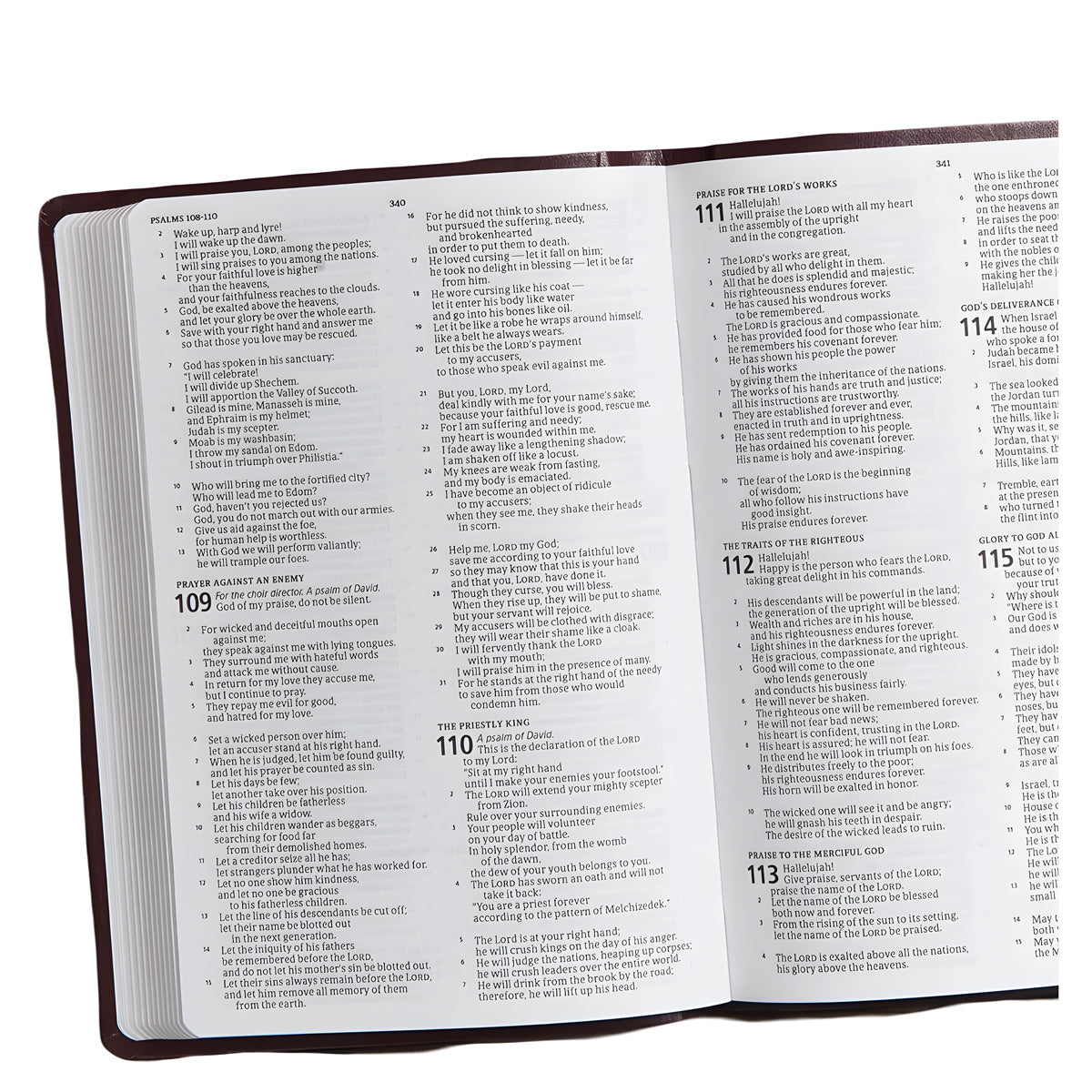 CSB Burgundy Imitation Leather Gift & Award Bible