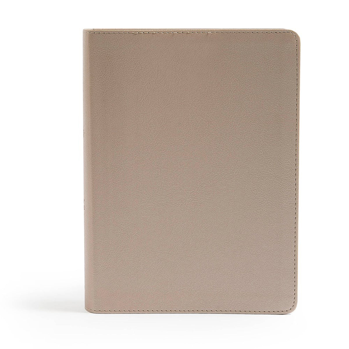 CSB Champagne Gold Imitation Leather She Reads Truth Bible
