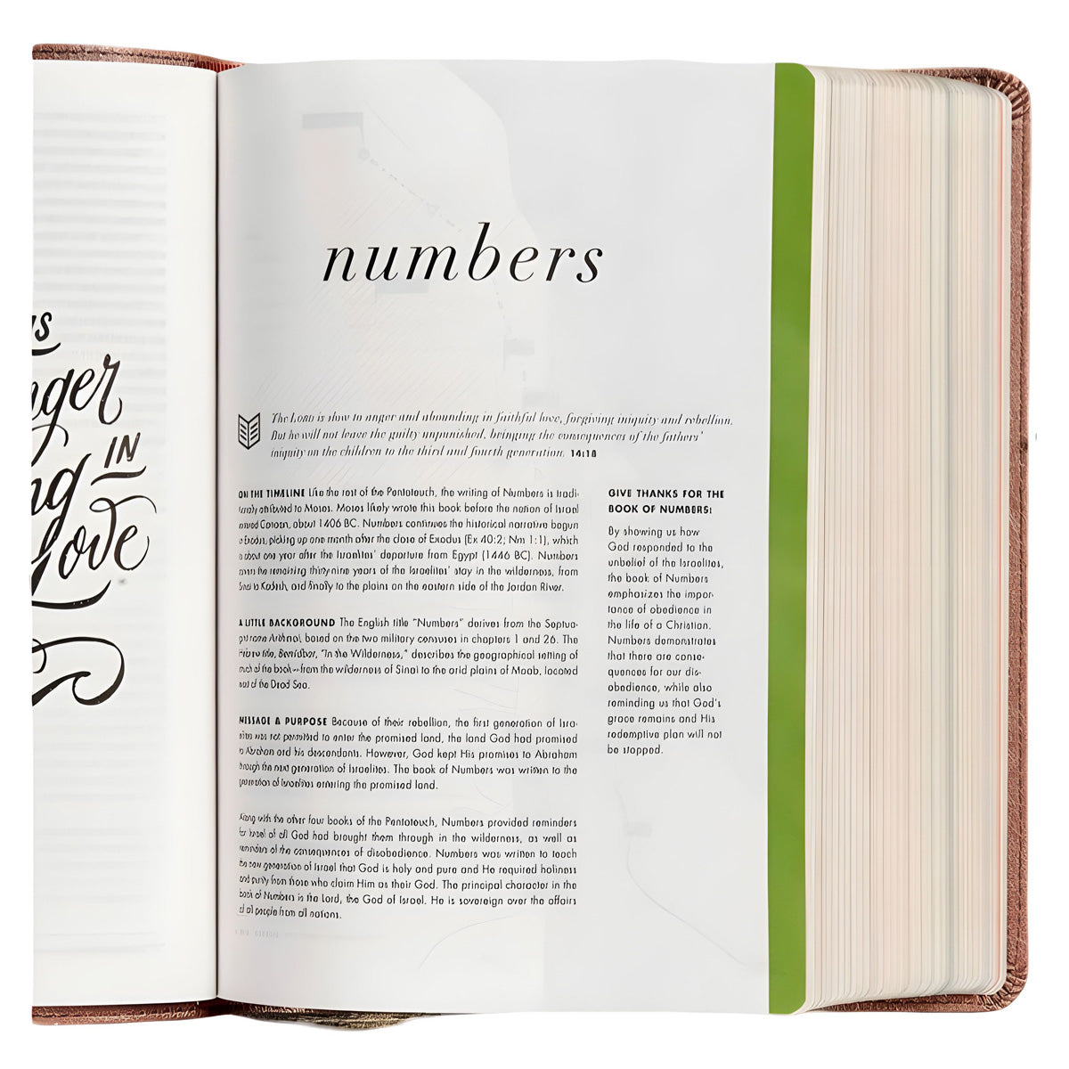 CSB Rose Gold Imitation Leather She Reads Truth Bible