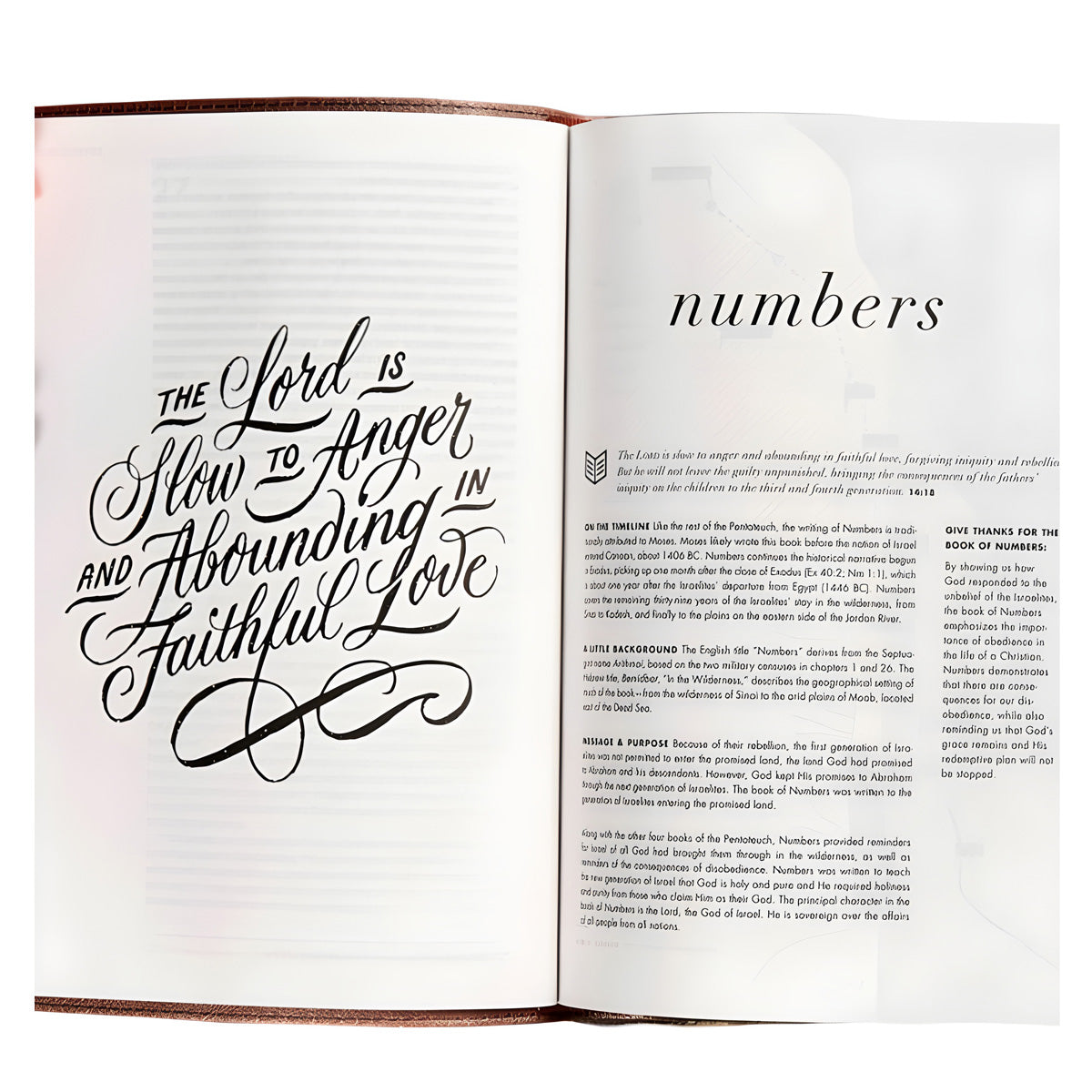 CSB Rose Gold Imitation Leather She Reads Truth Bible