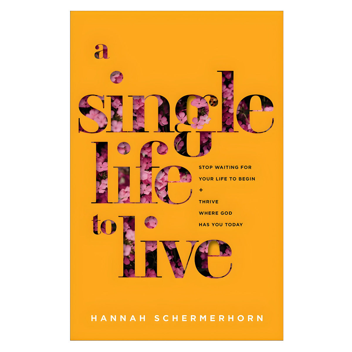 A Single Life to Live: Stop Waiting for Your Life to Begin & Thrive Where God Has You Today PB