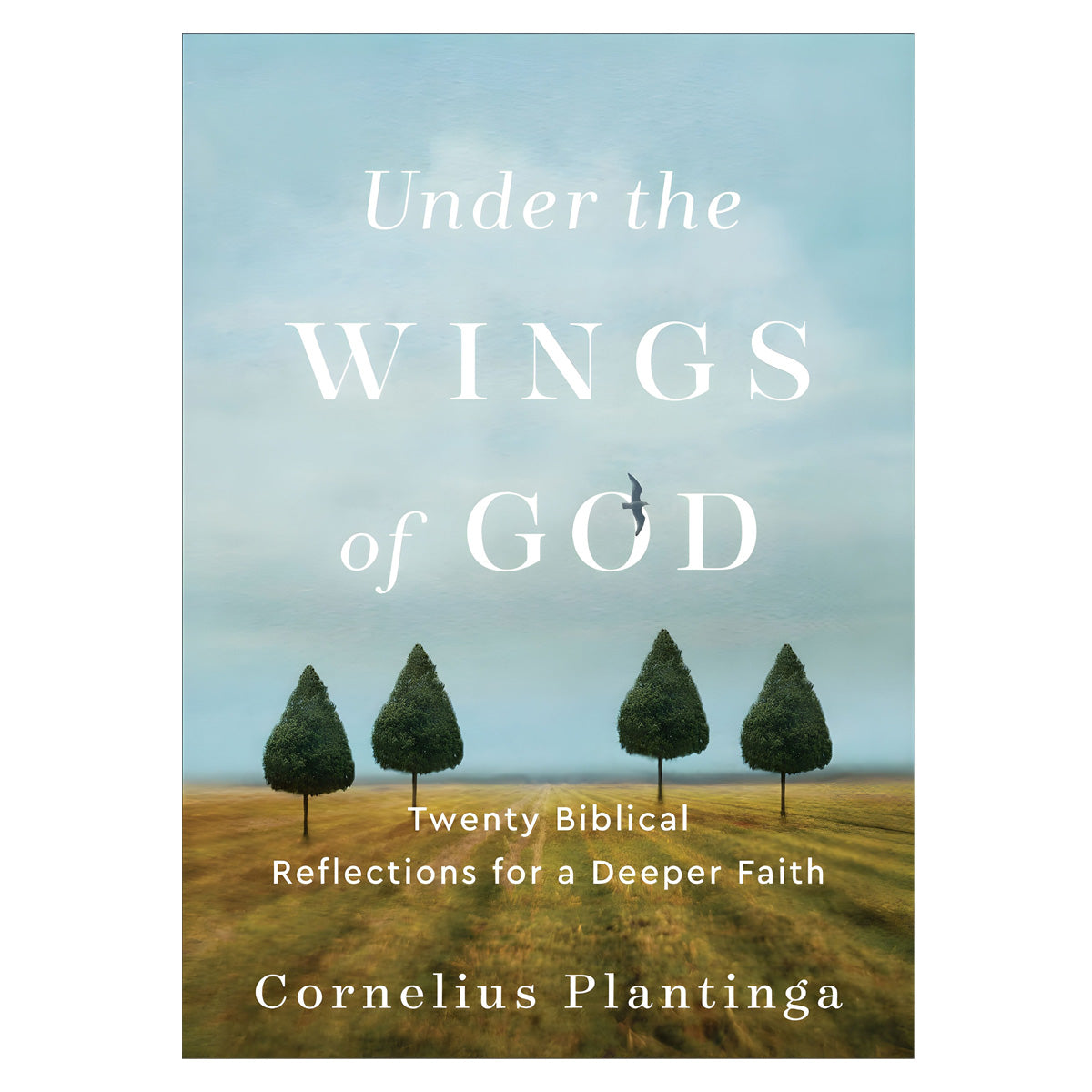 Under The Wings Of God: Twenty Biblical Reflections For A Deeper Faith (Paperback)
