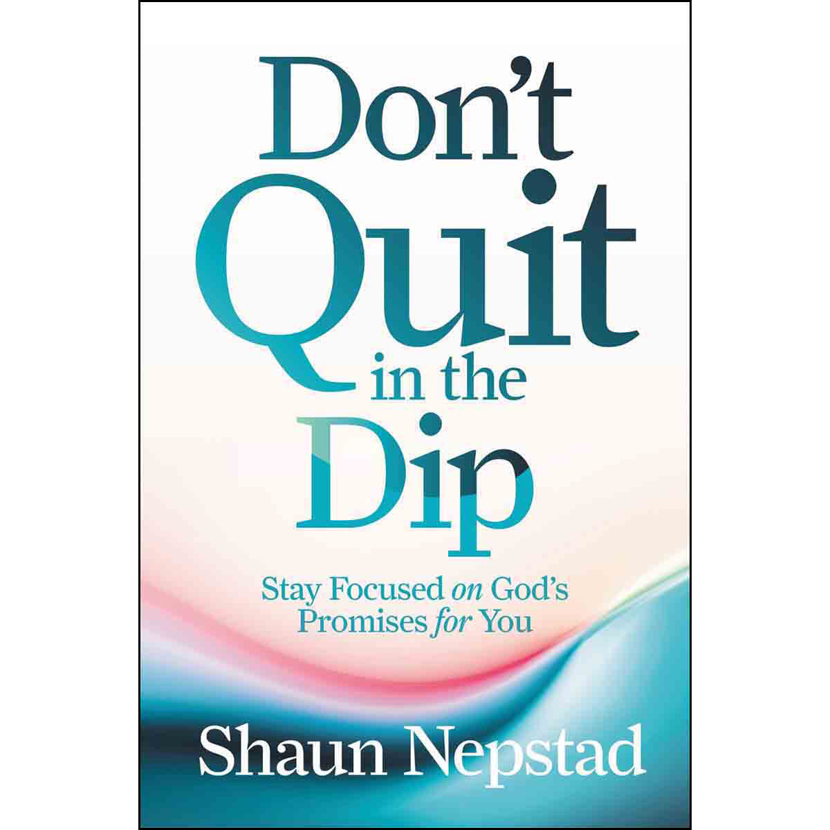 Don't Quit In The Dip: Stay Focused On Gods Promises For You (Hardcover)