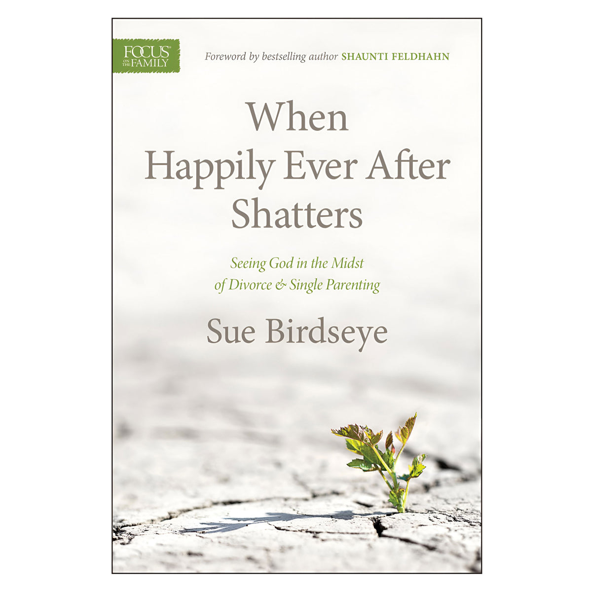 When Happily Ever After Shatters: Seeing God in the Midst of Divorce & Single Parenting PB