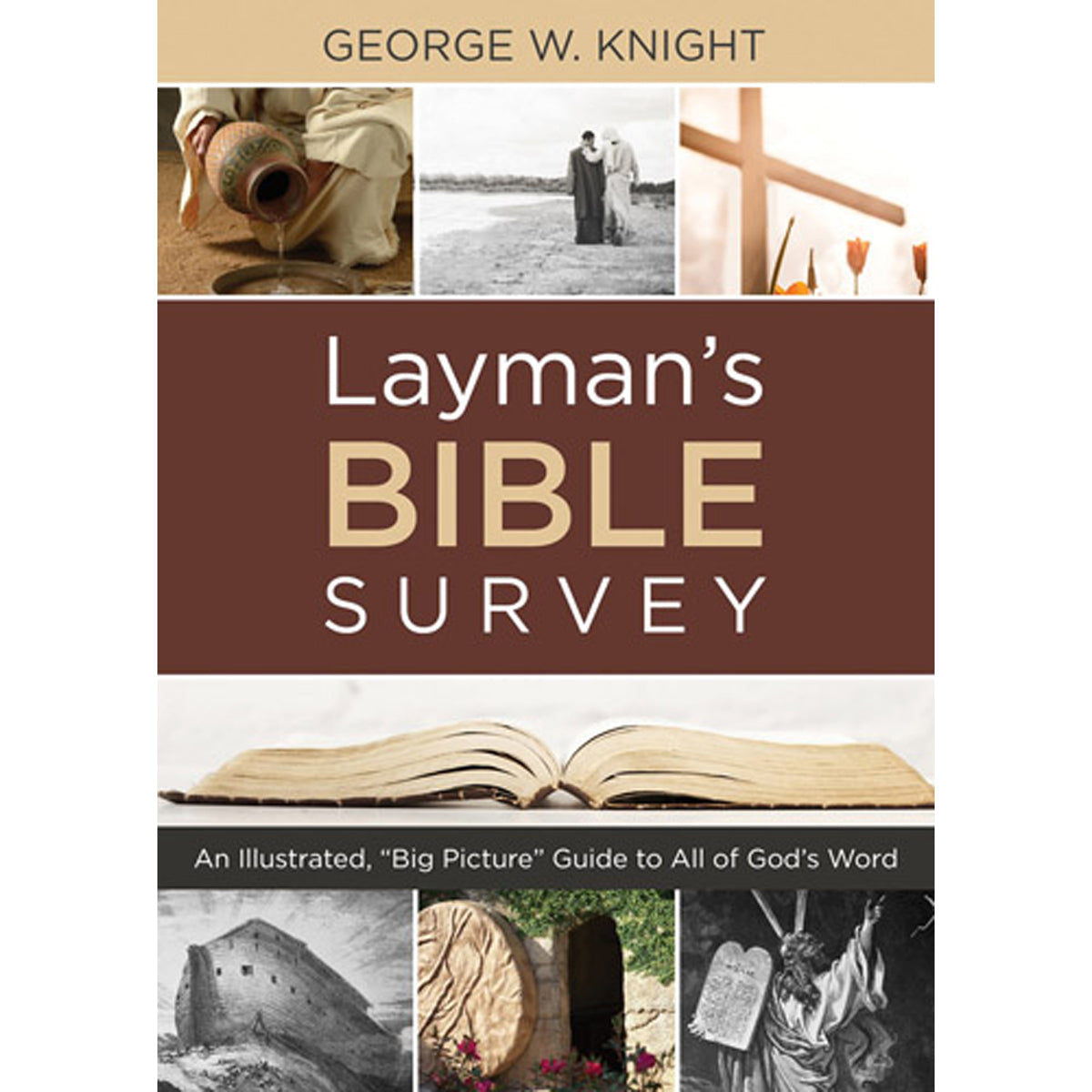 Laymans Bible Survey (Paperback)