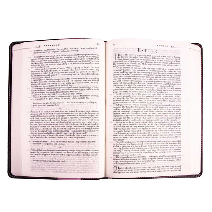 The Message Brown & Pink Two Tone Imitation Leather Slimline Edition Bible