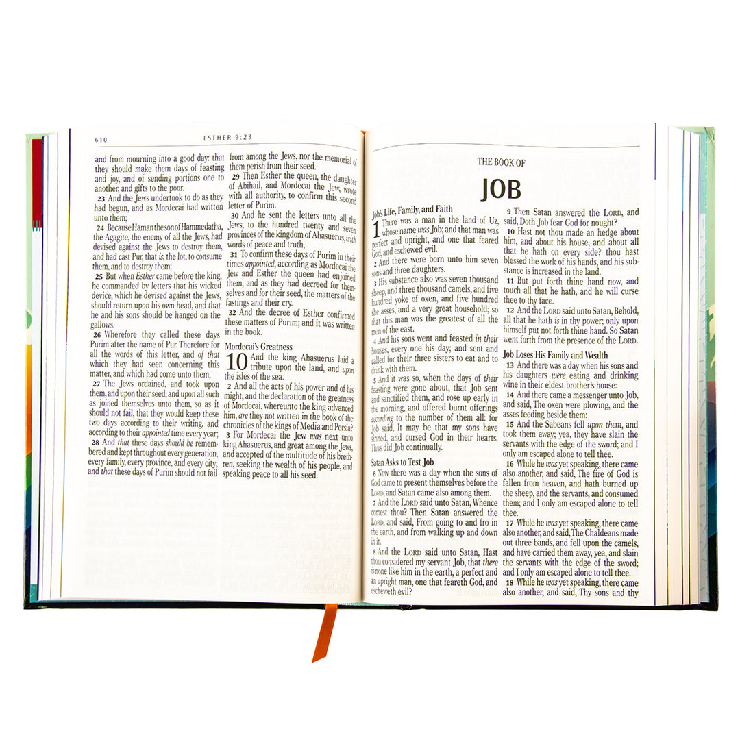 KJV Teal Mountains Hardcover Kids Bible Large Print