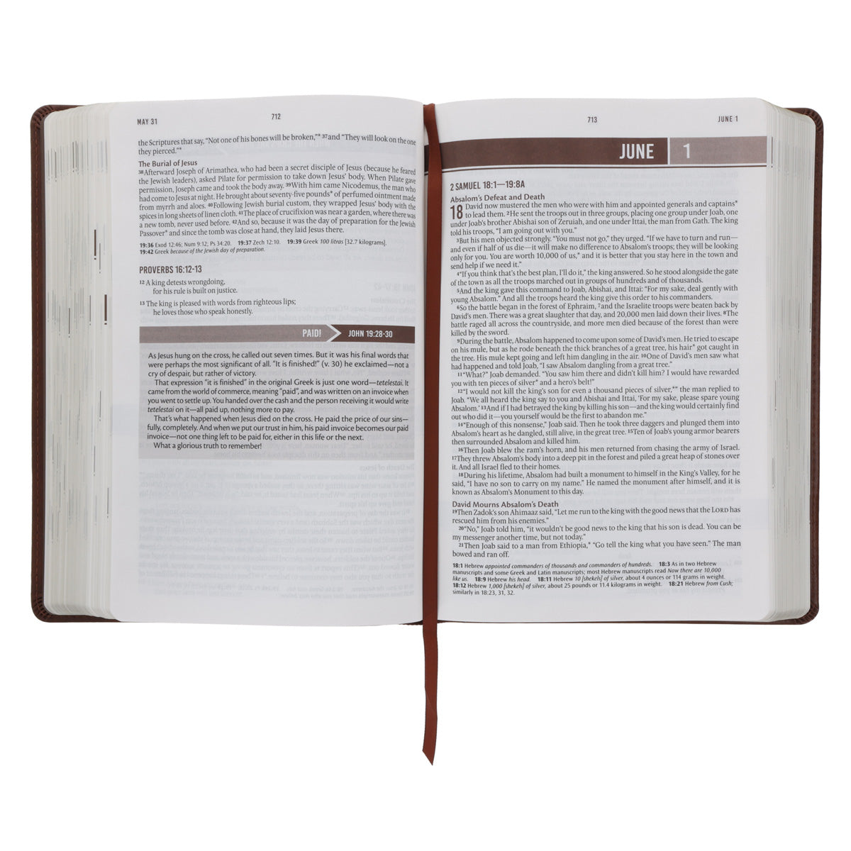 NLT Brown Flexcover Faux Leather Everyday Devotional Bible for Men