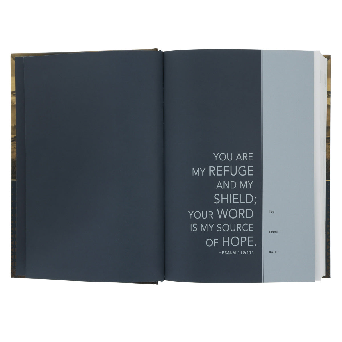 NLT Landscape Hardcover Everyday Devotional Bible for Men