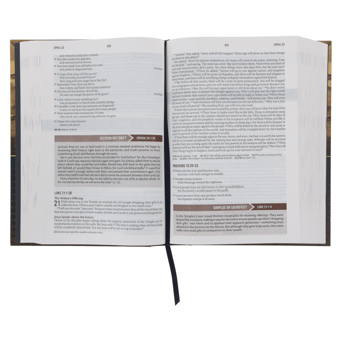 NLT Landscape Hardcover Everyday Devotional Bible for Men