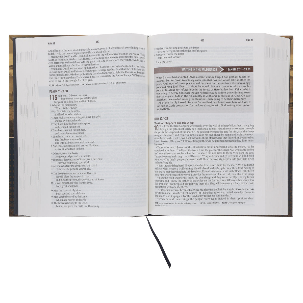 NLT Landscape Hardcover Everyday Devotional Bible for Men