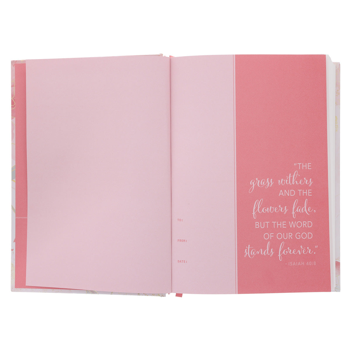 NLT Pink Floral Hardcover Everyday Devotional Bible for Women