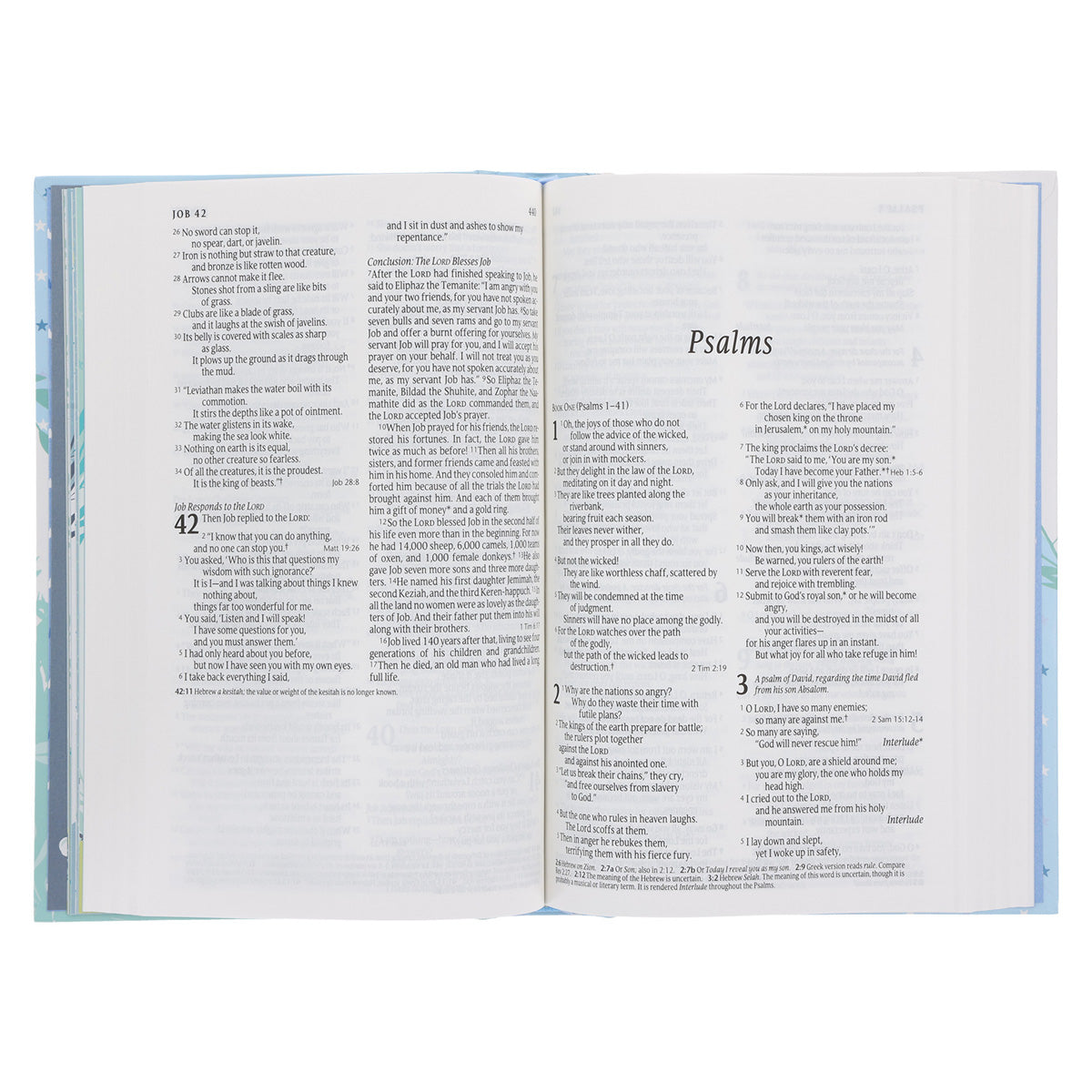 NLT Elephant Hardcover Baby Bible for Boys