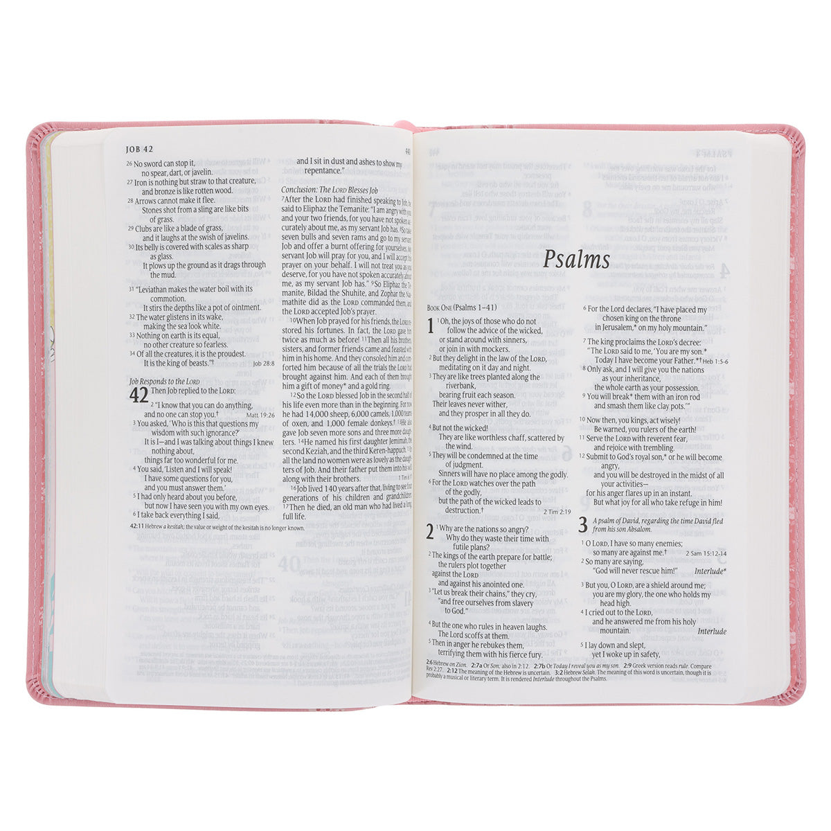 NLT Pink Deer Flexcover Faux Leather Baby Bible for Girls