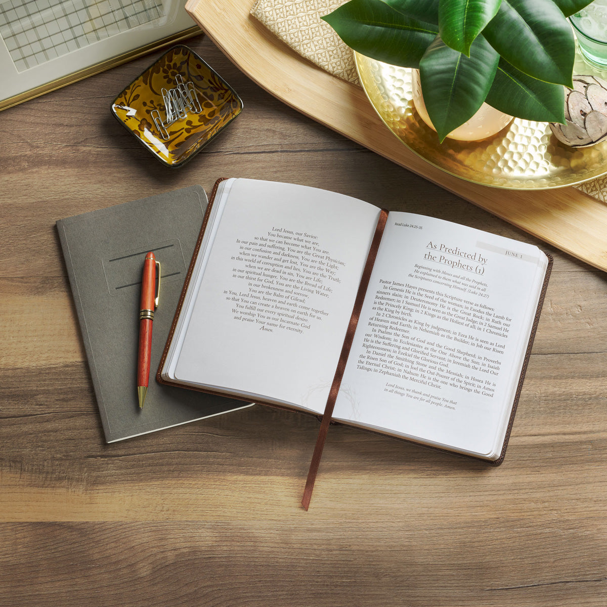 Amazing Grace: God's Love to Rescue and to Restore - 366 Devotions (Faux Leather)