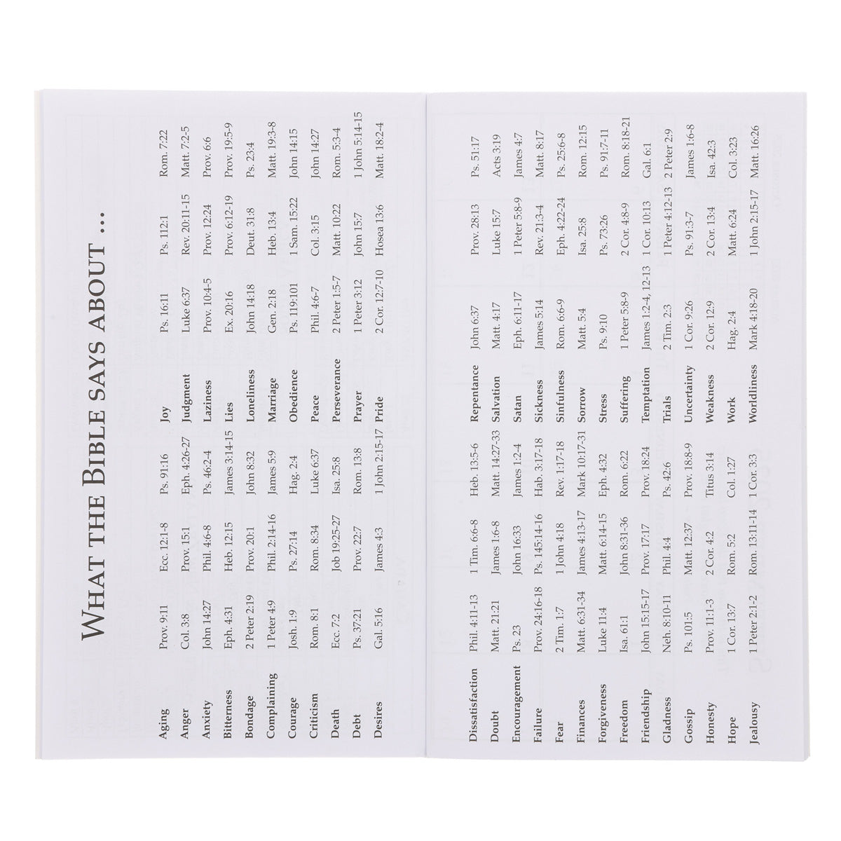 2026 Diary - Daily Planner - Your Word I A Lamp to My Feet and A Light to My Path