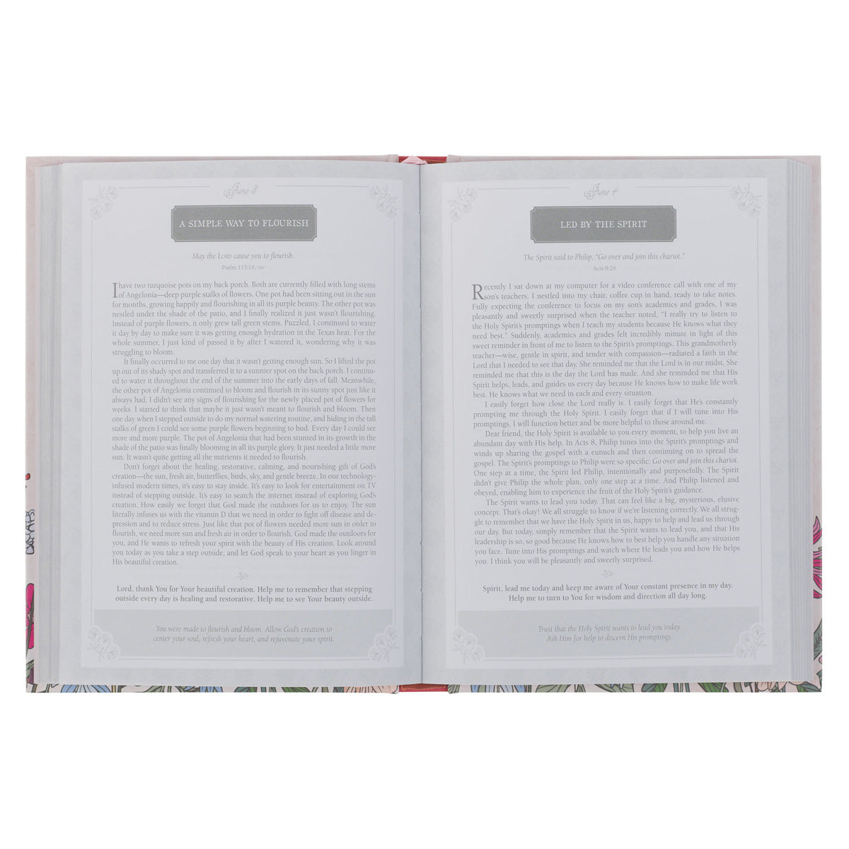 Daily Hope for a Woman's Heart (Hardcover)