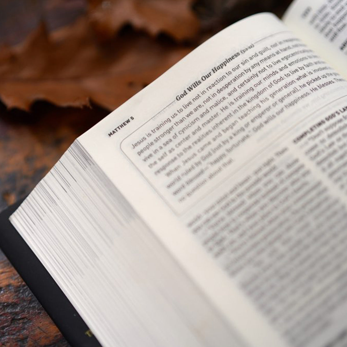 The Message Devotional Bible Large Print (Hardcover)