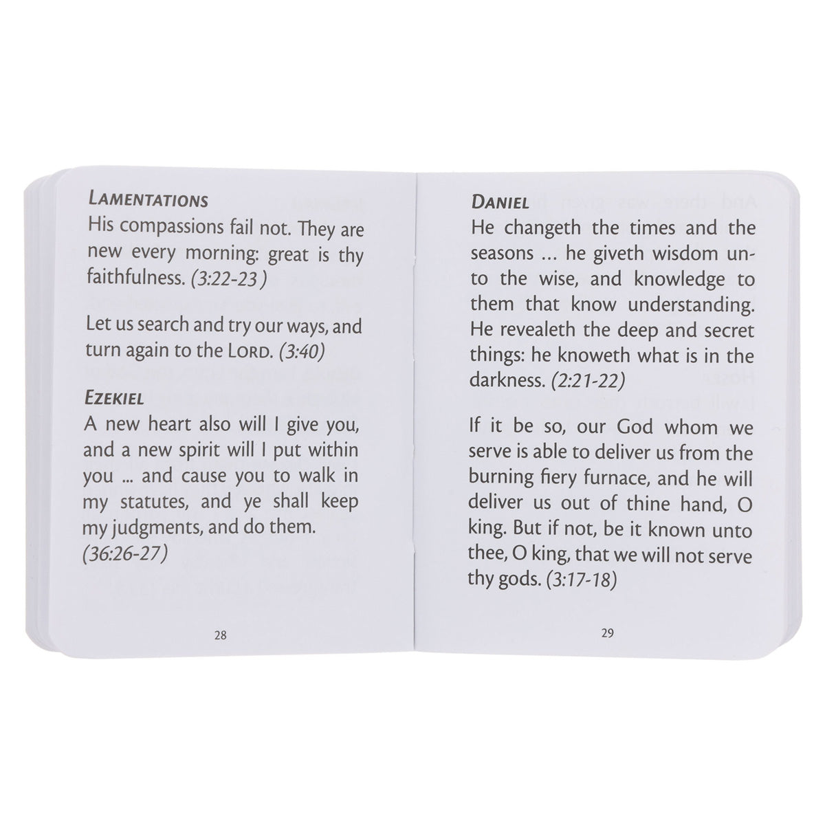 My Little Bible Cream (Paperback)