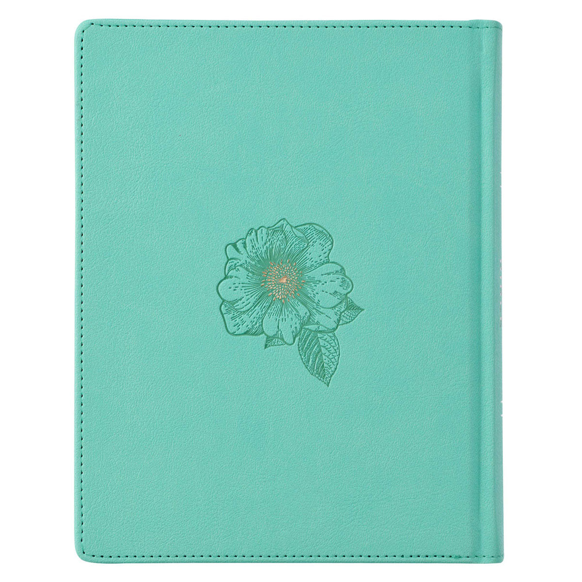 KJV Teal Faux Leather Hardcover My Promise Bible