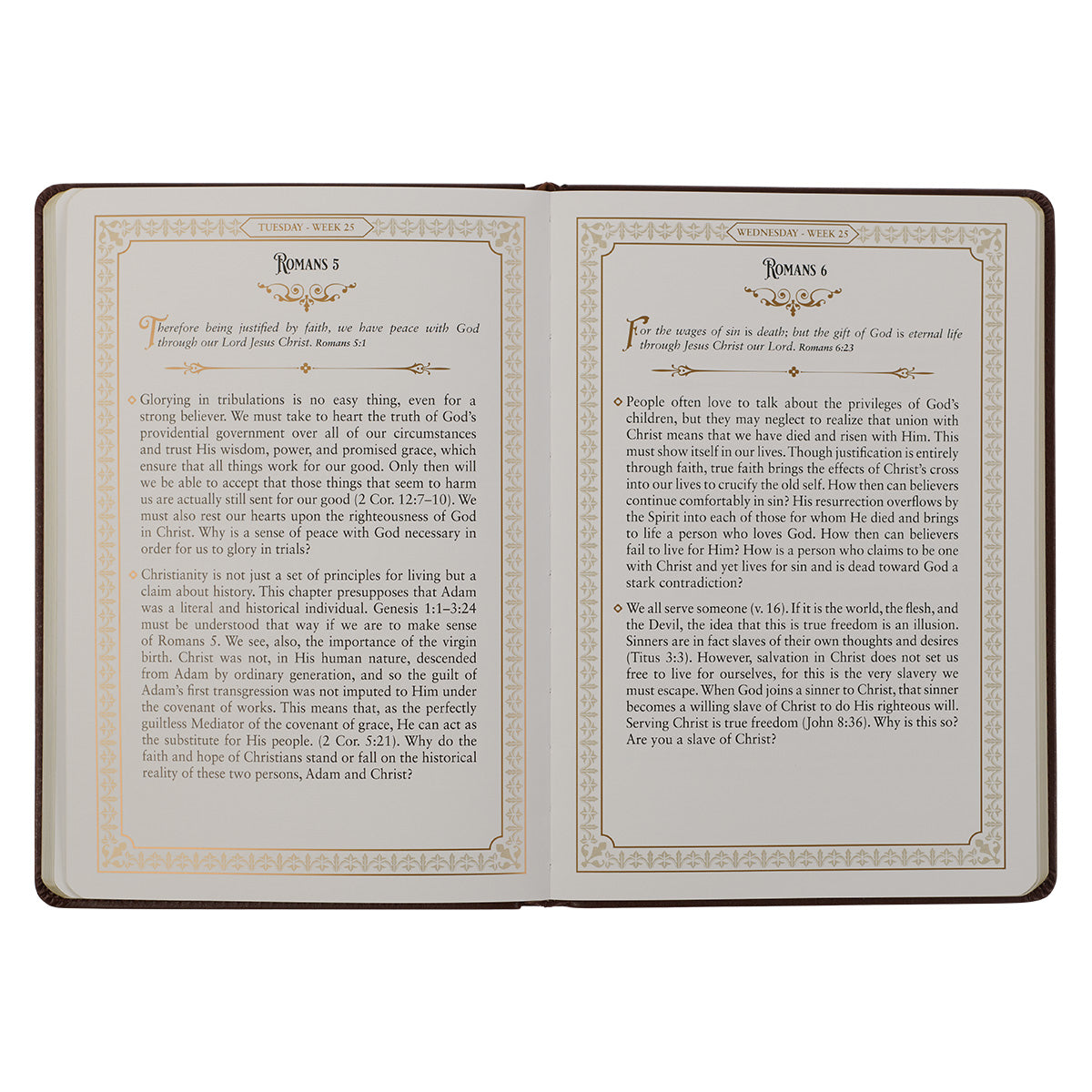 Daily Devotions From The KJV Large Print Faux Leather