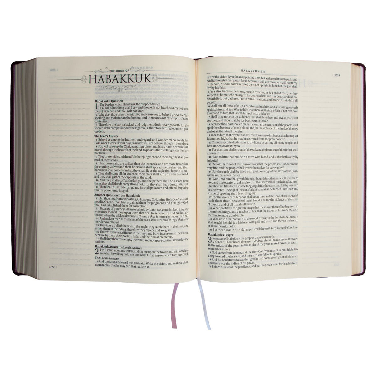 KJV Plum Faux Leather Note-Taking Bible