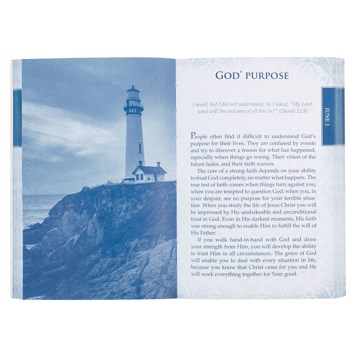 A Shelter From The Storm: 366 Devotions (Paperback)