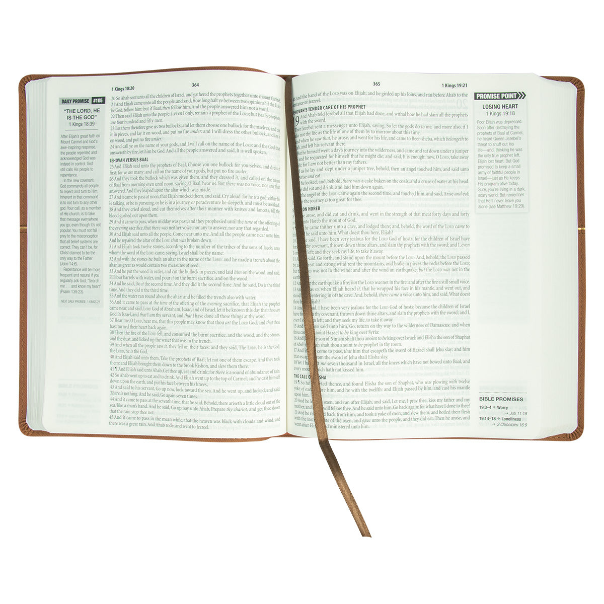 KJV Bible Promise Book Hickory Diamond Brown (Imitation Leather)