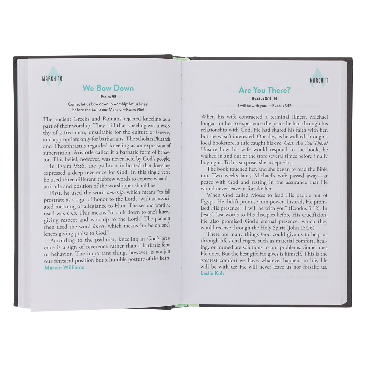 Hold Fast: 365 Devotions for Men by Men - Our Daily Bread (Hardcover)