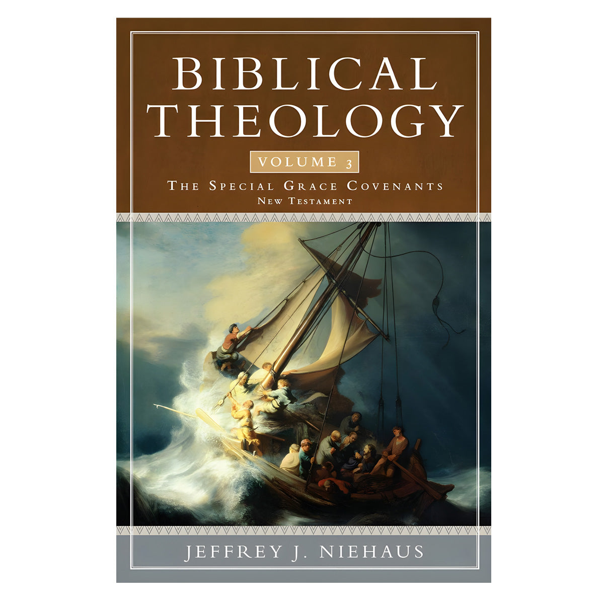 Biblical Theology Volume 3: The Special Grace Covenants New Testament (Paperback)