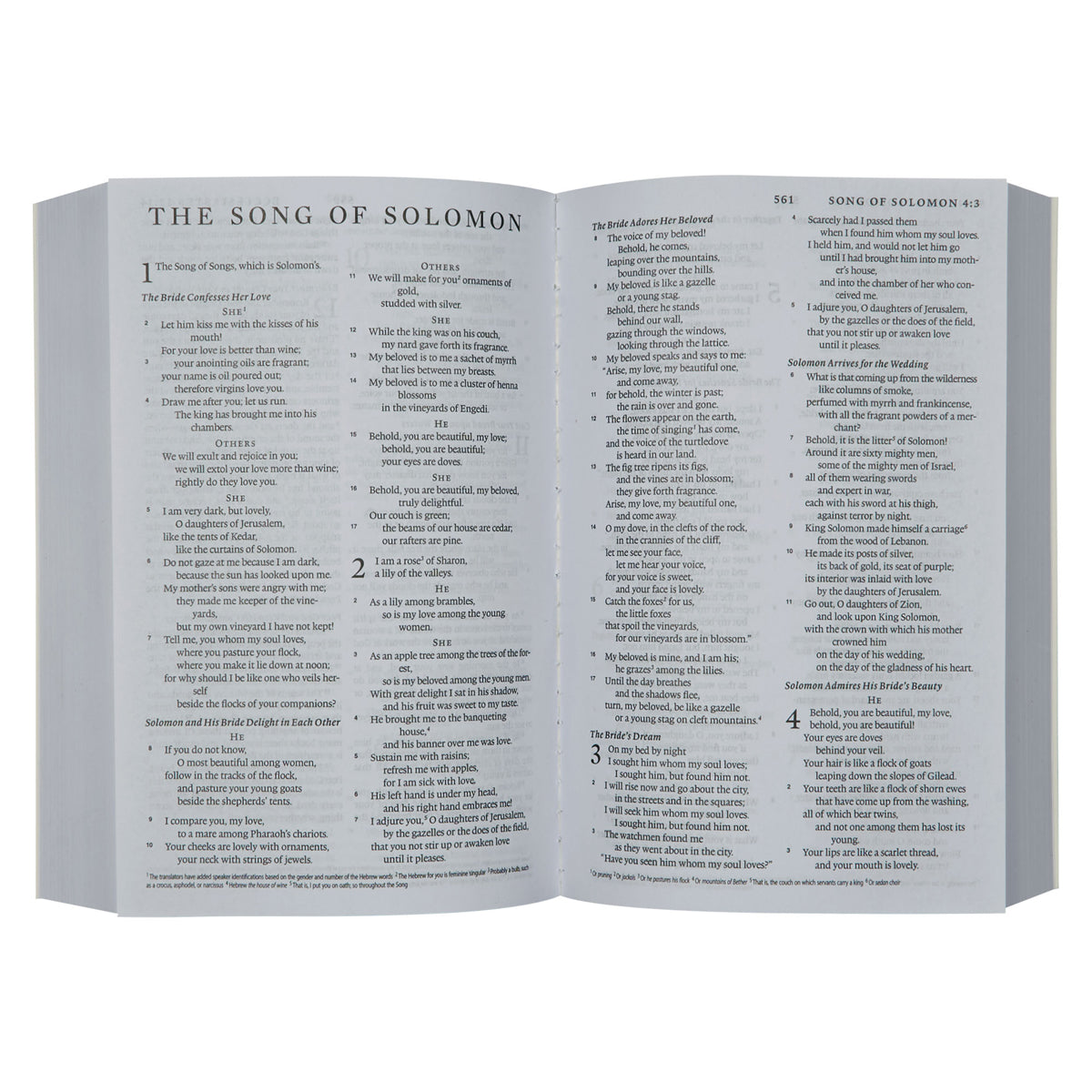 ESV Turquoise Compact Bible Paperback