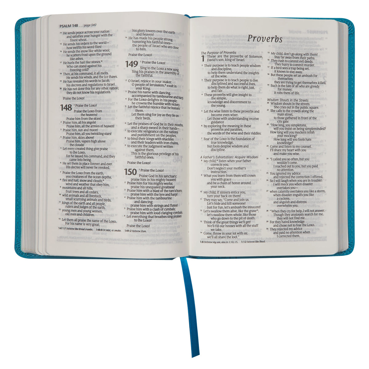 NLT Teal Faux Leather Flexcover Compact Bible