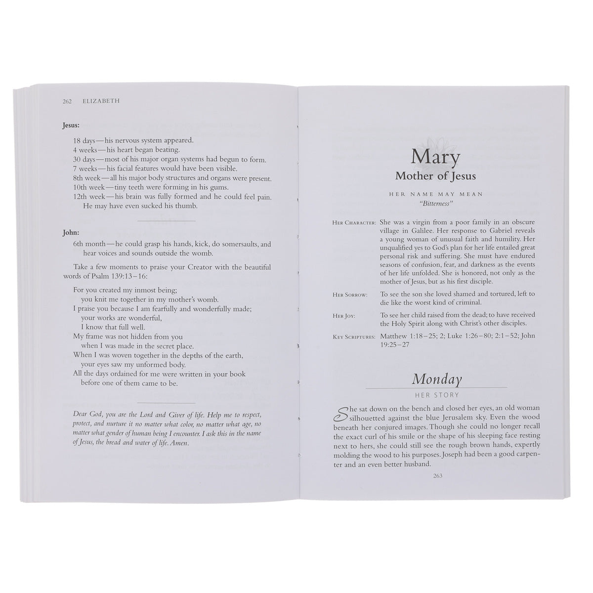 Women Of The Bible Devotional: One Year Devotional Study (Paperback)