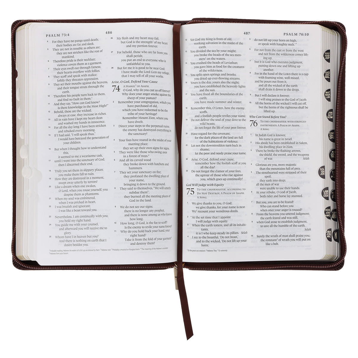 ESV Dark Brown Faux Leather Standard Bible Thumb Indexed With Zip