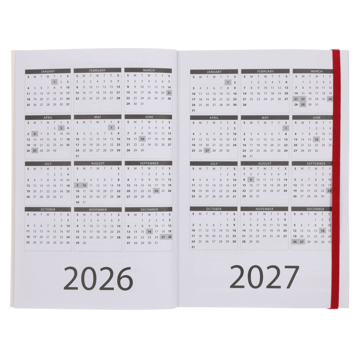 2026 A5 Diary - Daily Planner - Cherries and Blossoms - Paperback