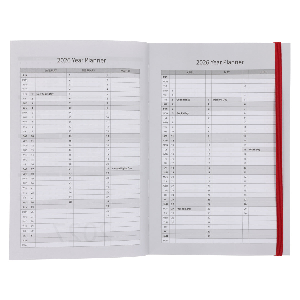 2026 A5 Diary - Daily Planner - Cherries and Blossoms - Paperback